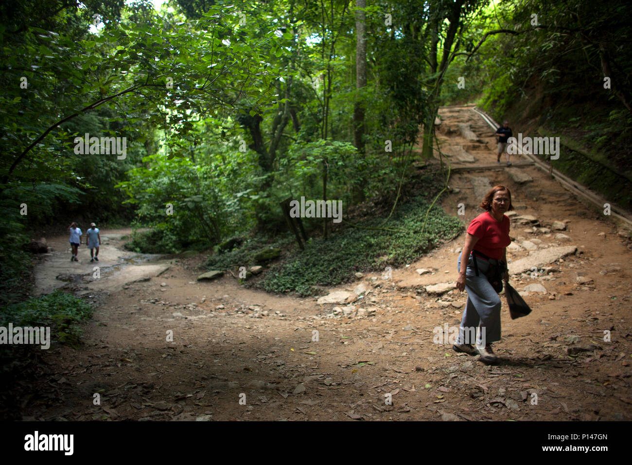 Une femme marche dans un chemin dans le parc national du mont Avila à Caracas, Venezuela, le 23 juillet 2008. Banque D'Images