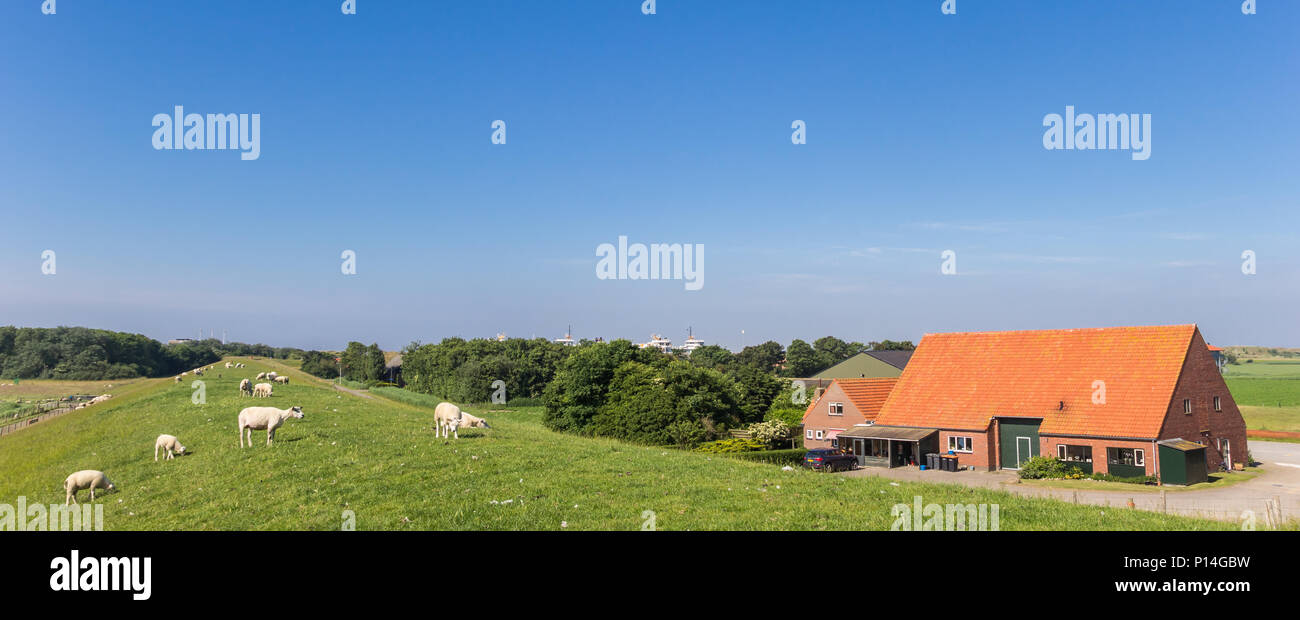 Panorama d'une digue et une ferme de Texel, Hollande Banque D'Images