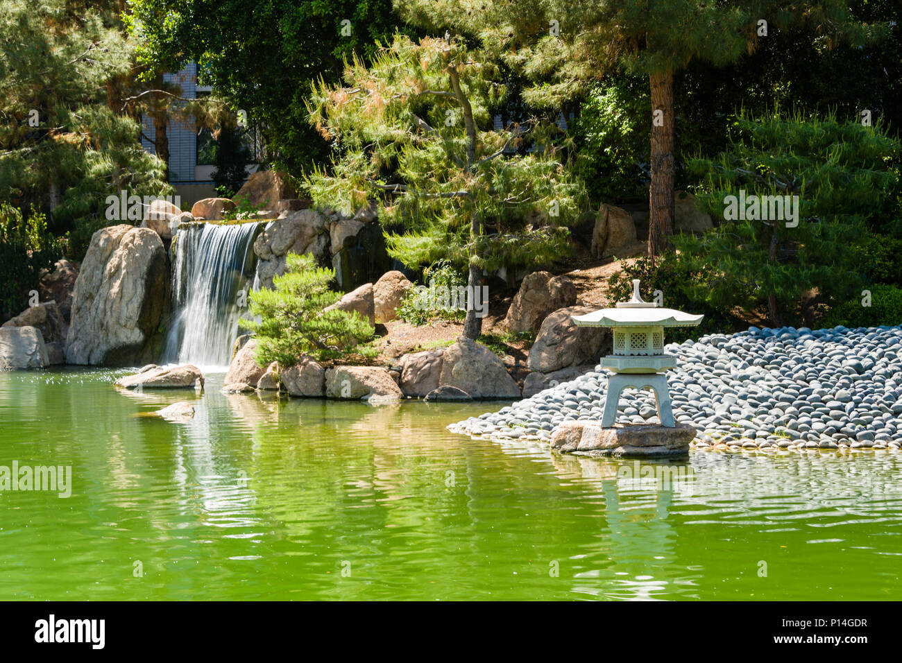 Jardin de l'amitié japonais cascade, étang & Lantern Banque D'Images