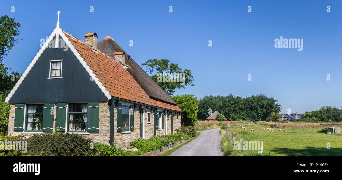 Panorama d'une maison hollandaise traditionnelle dans le paysage de l'île de Texel, Hollande Banque D'Images