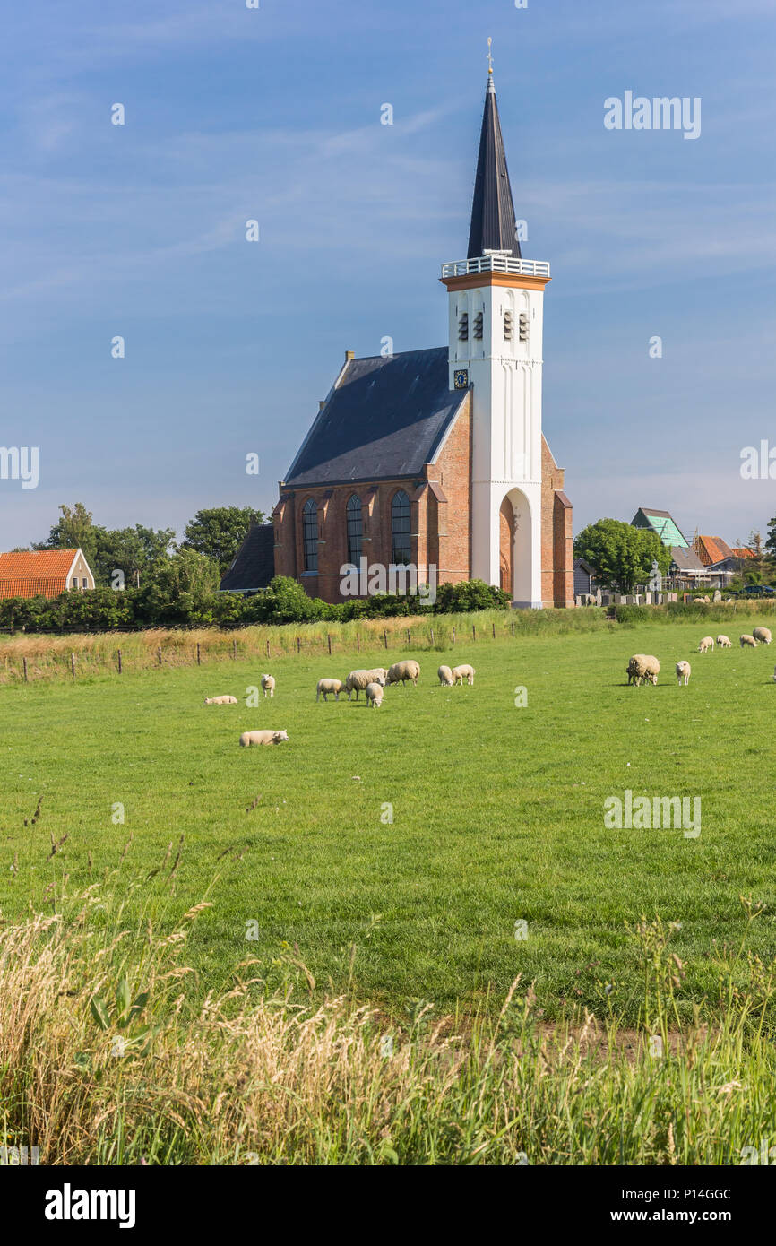 Moutons en face de l'église de Den Hoorn sur île de Texel aux Pays-Bas Banque D'Images