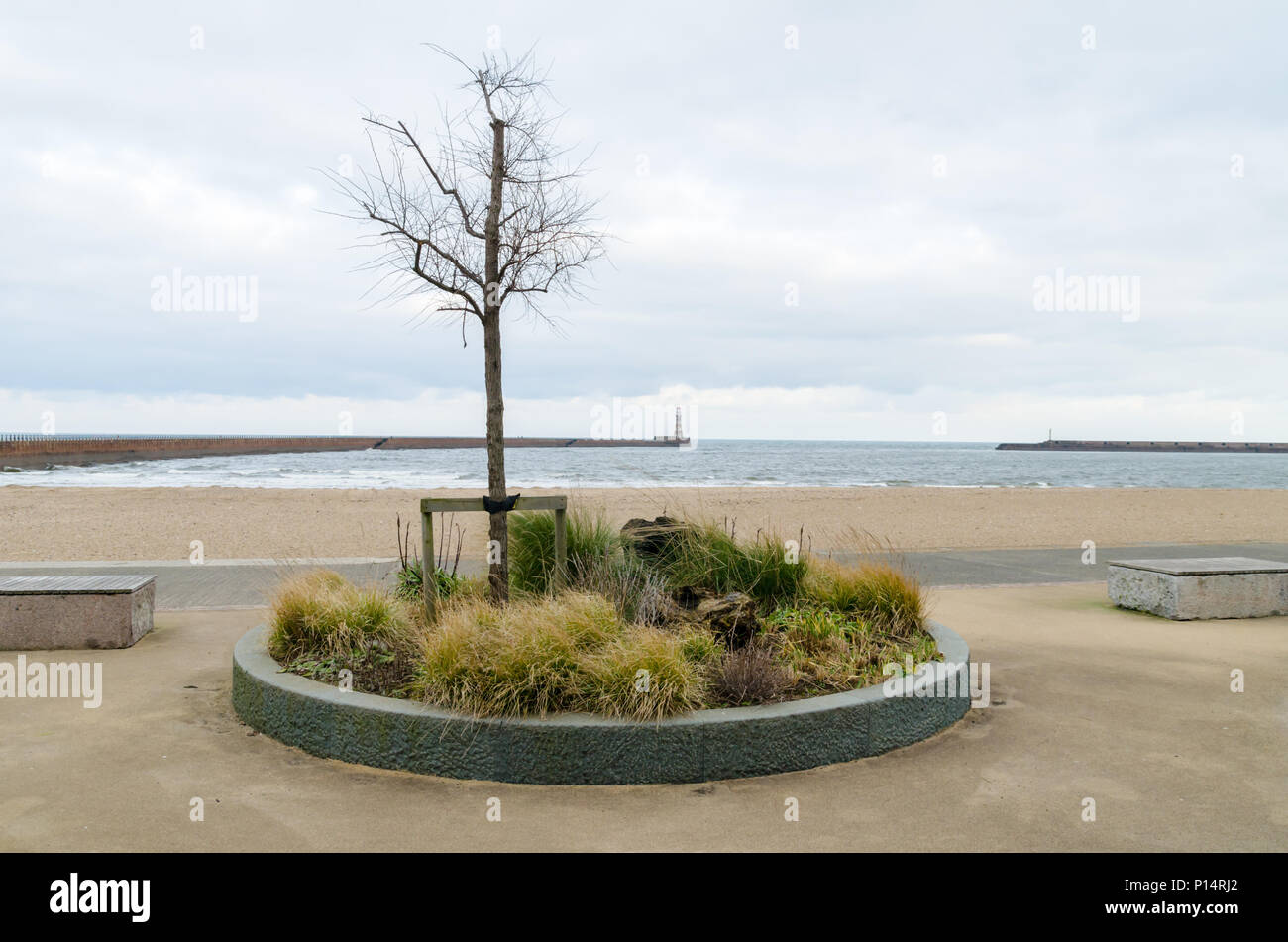 Voir à partir de la promenade maritime à Roker regardant la mer Banque D'Images