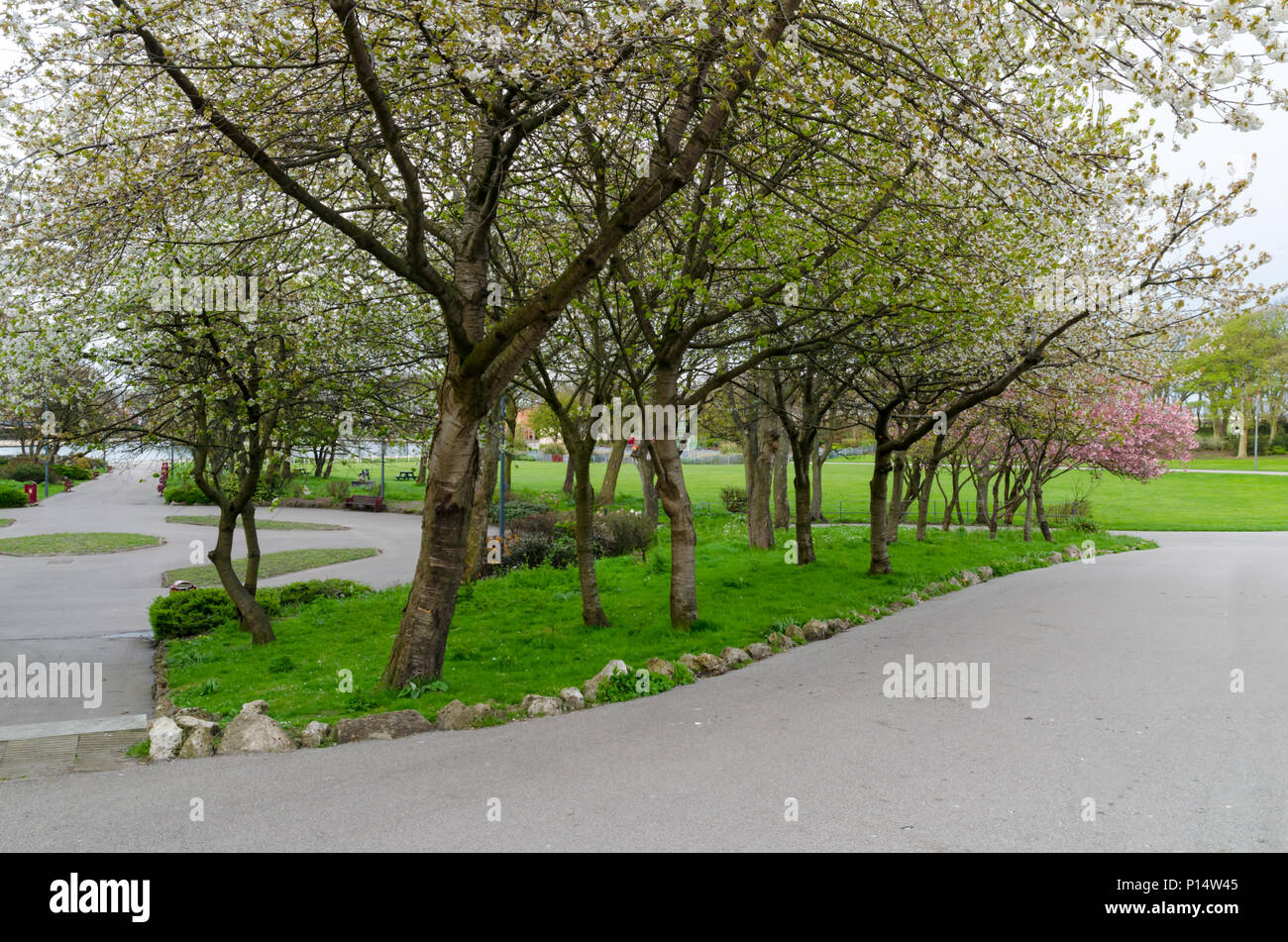 Pathways à l'Afrique du Marine Park, South Shields Banque D'Images