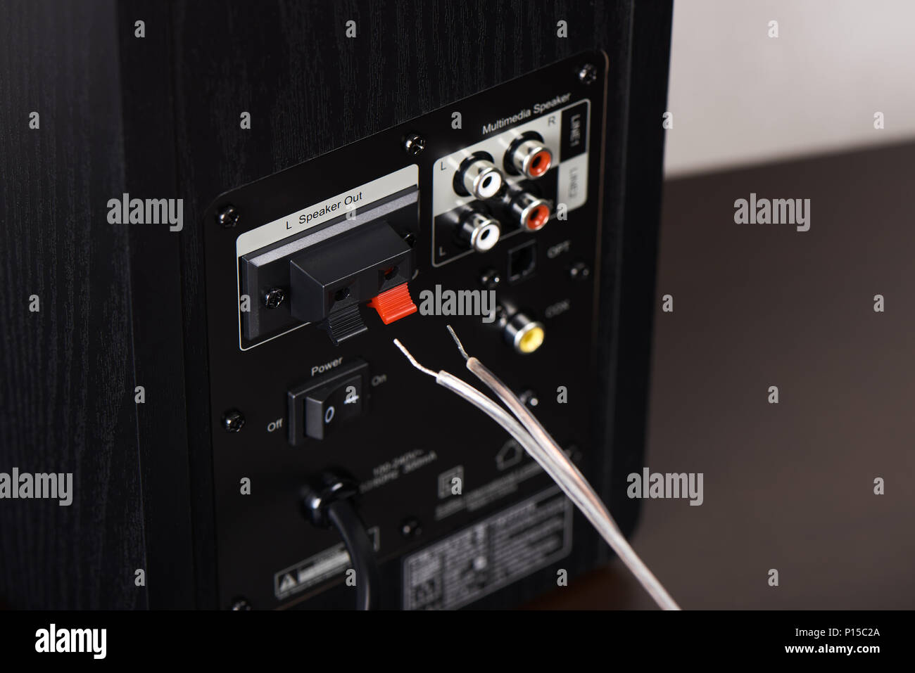 Gros plan du terminal de sortie haut-parleur à l'arrière de l'enceinte de Banque D'Images