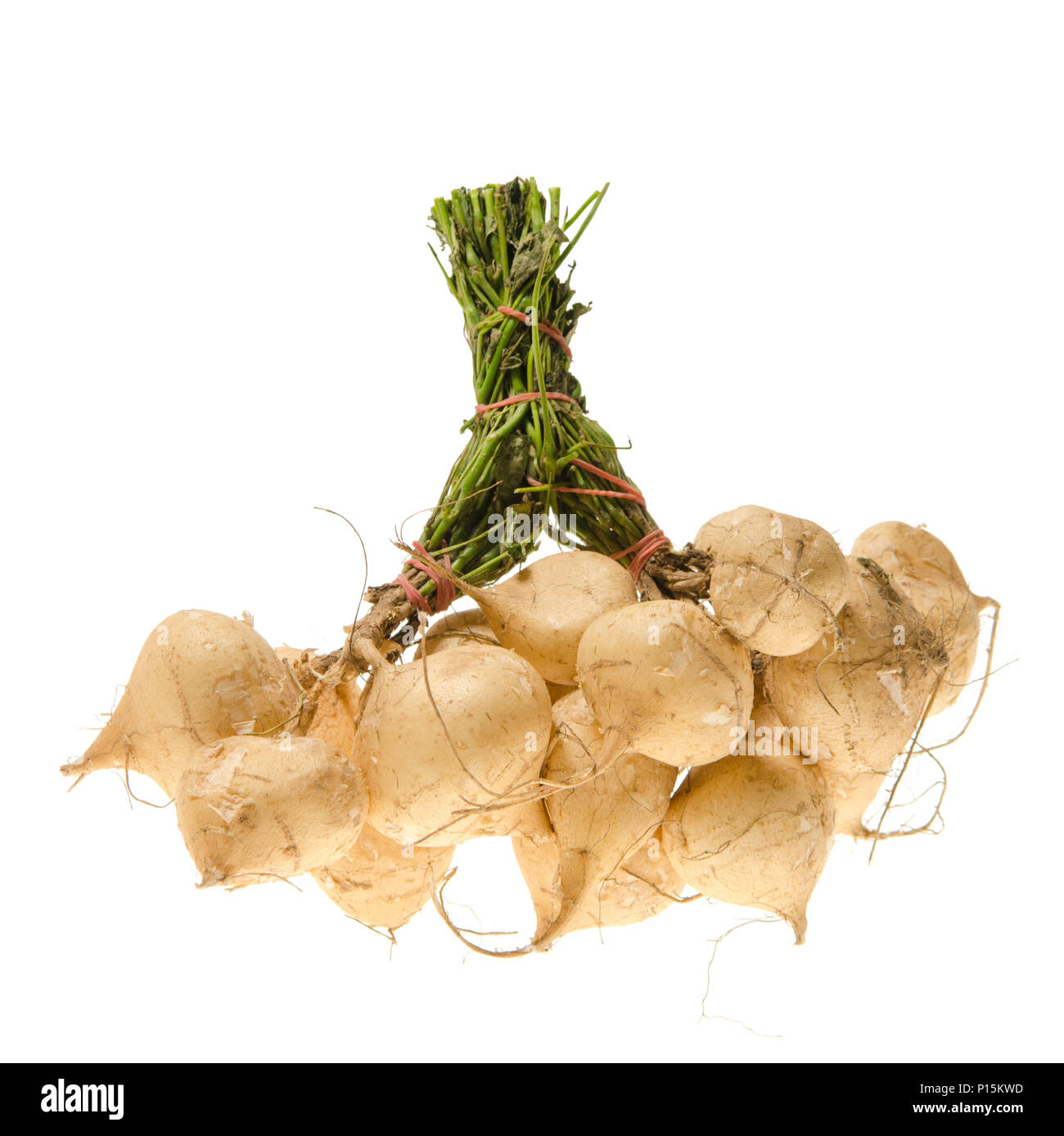 Le jicama sur fond blanc Banque D'Images