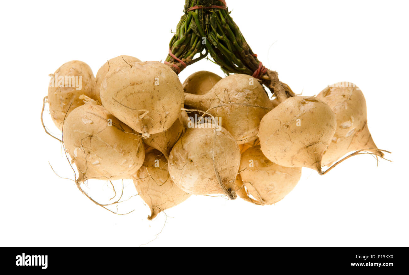 Le jicama sur fond blanc Banque D'Images