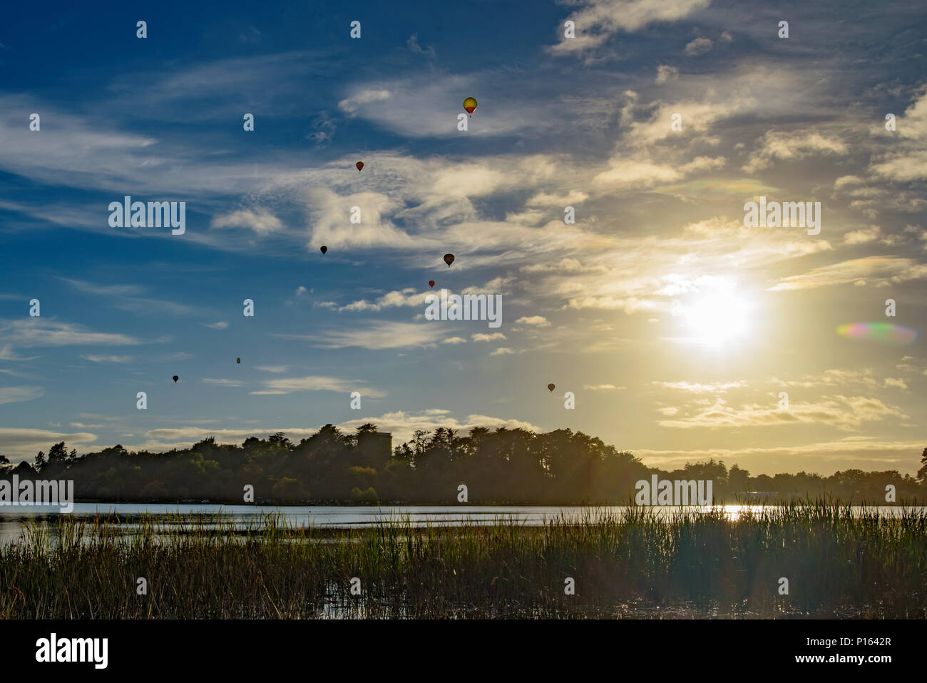 Le ciel en montgolfière au lever du soleil, moment, Hamilton, Nouvelle-Zélande Banque D'Images