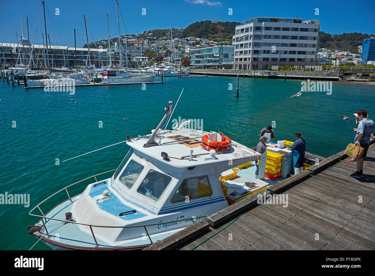 Bateau de pêche à la vente du poisson, Chaffers Marina, Wellington, Île du Nord, Nouvelle-Zélande Banque D'Images