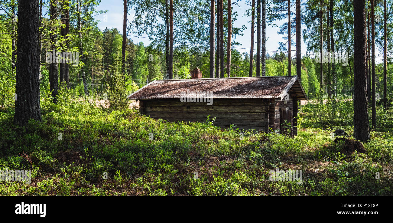 Vieux et abandonnés à leur chalet bois idyllique journée d'été en Finlande Banque D'Images