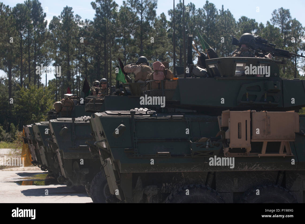 Les Marines américains avec divers bataillons de reconnaissance blindé léger (LAR Ne), effectuer le tout premier défi Bushmaster gamme SR-7 à bord à Camp Lejeune, en Caroline du Nord, le 3 octobre 2016. Le concours était composé de quatre véhicules blindés légers VBL-25, ou des cibles de tir, avec un M242 Bushmaster, qui est un 25 mm entraînés par chaîne autocanon largement utilisé par l'armée américaine et la mitrailleuse coaxiale M240. (U.S. Marine Corps photo par Lance Cpl. Careaf L. Henson MARDIV 2d) de la Caméra de combat Banque D'Images