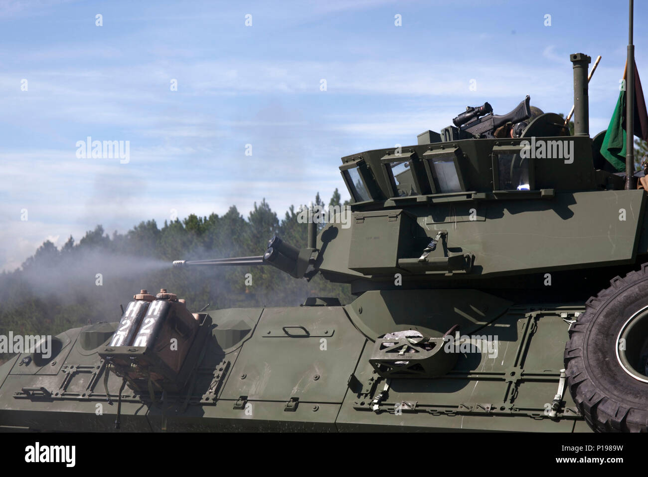Les Marines américains avec divers bataillons de reconnaissance blindé léger (LAR Ne), effectuer le tout premier défi Bushmaster gamme SR-7 à bord à Camp Lejeune, en Caroline du Nord, le 3 octobre 2016. Le concours était composé de quatre véhicules blindés légers VBL-25, ou des cibles de tir, avec un M242 Bushmaster, qui est un 25 mm entraînés par chaîne autocanon largement utilisé par l'armée américaine et la mitrailleuse coaxiale M240. (U.S. Marine Corps photo par Lance Cpl. Careaf L. Henson MARDIV 2d) de la Caméra de combat Banque D'Images