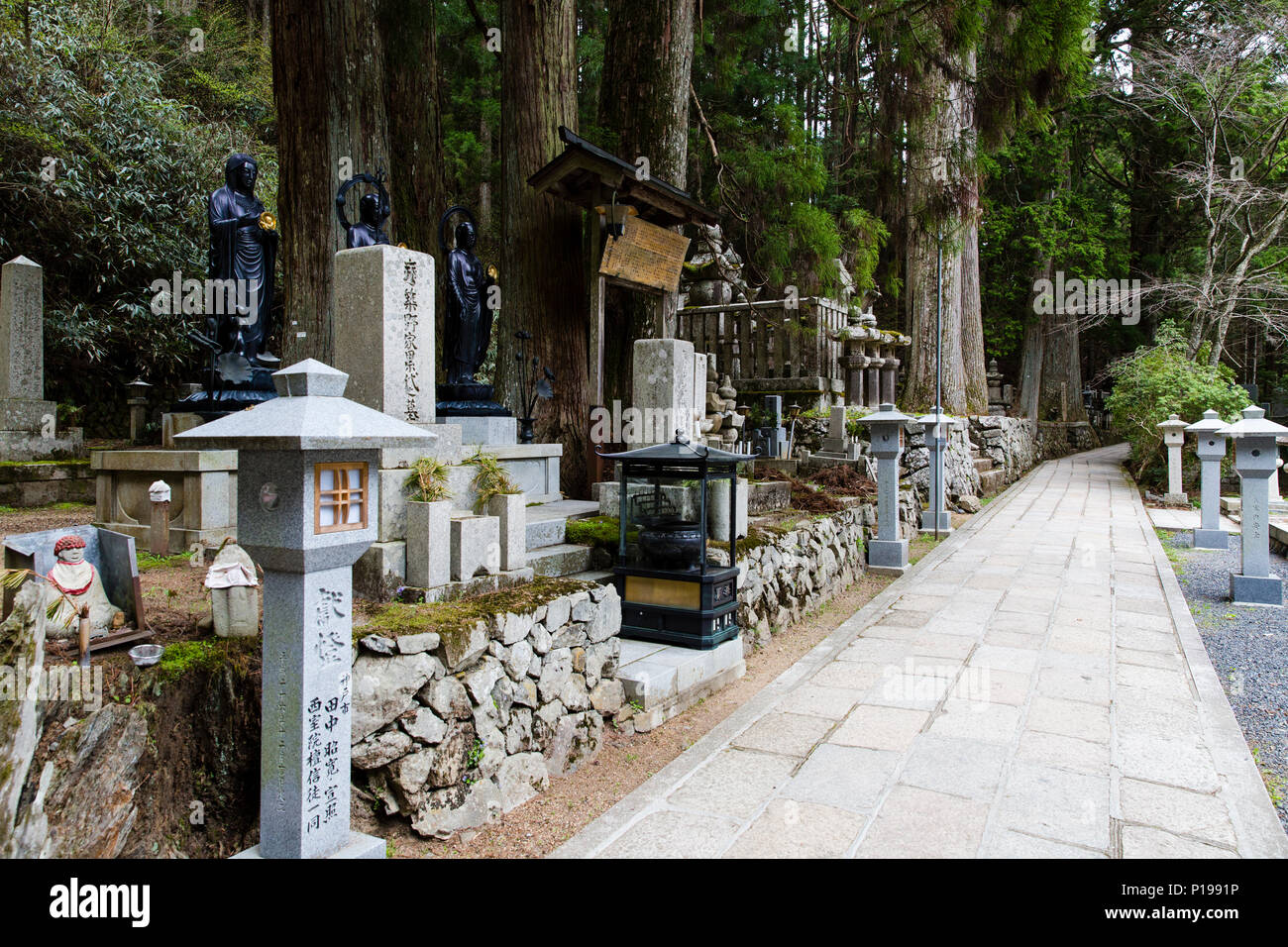 Koyasan Choishi Path, la principale façon de Koyasan et cimetière Okunoin. Banque D'Images
