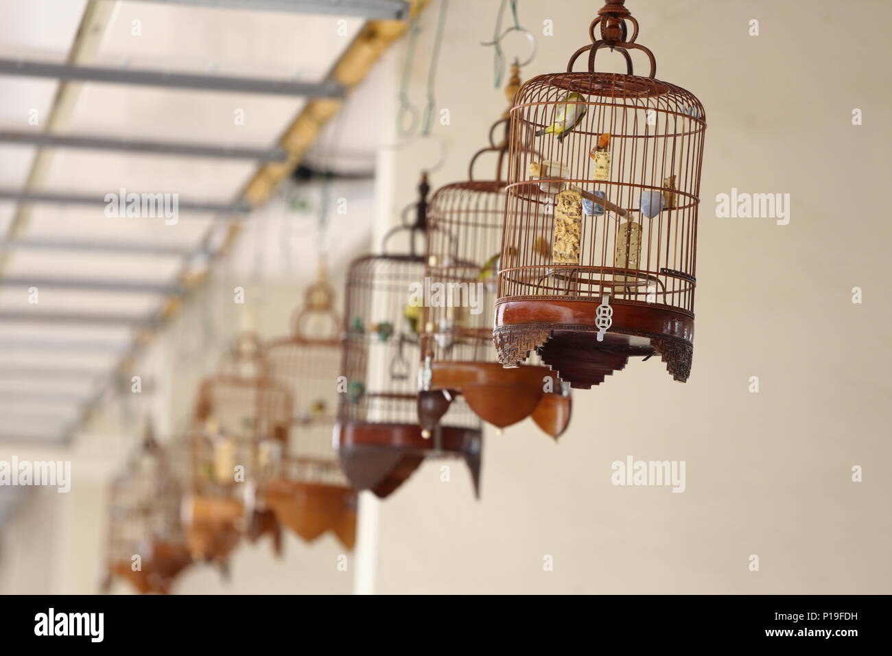 Une rangée de cages à oiseaux pendu pour que les oiseaux chantent dans un espace public intérieur. Singapour Banque D'Images