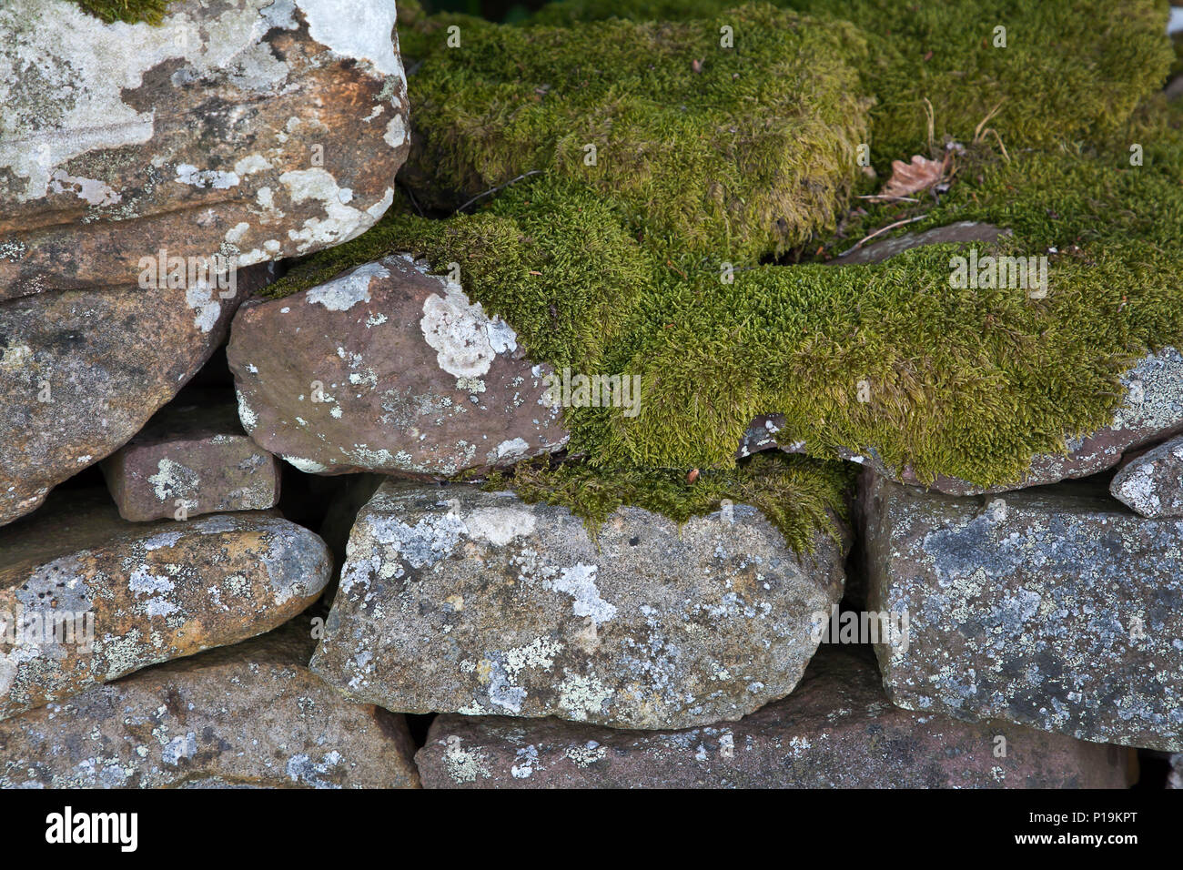 Détail du mur de grès rouge dans le parc national de Brecon Beacons, Pays de Galles, Royaume-Uni Banque D'Images