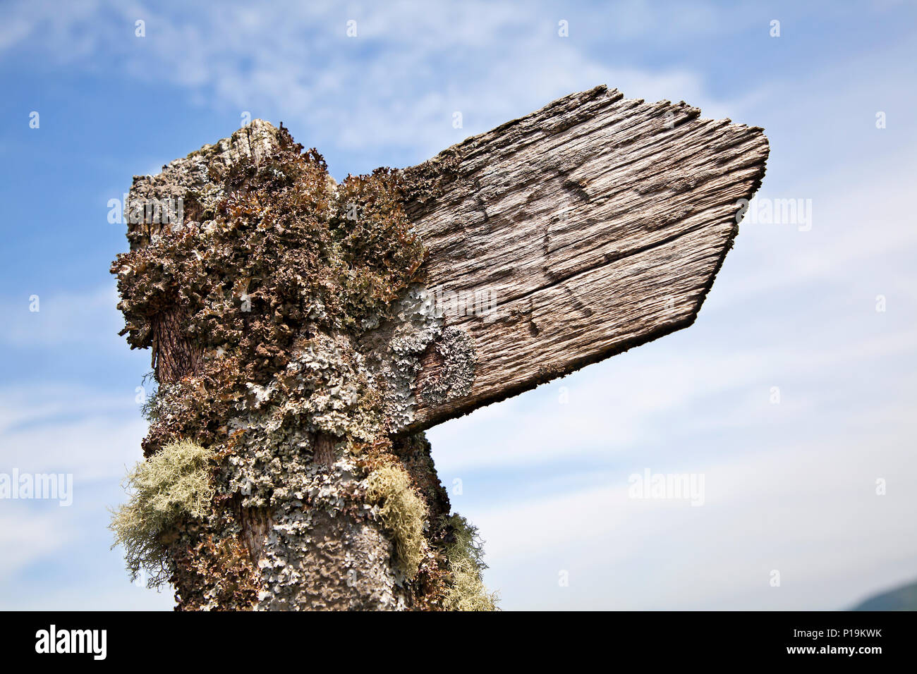 En bois ancien signe bridleway couverts de mousse et de lichen dans le parc national de Brecon Beacons, Pays de Galles, Royaume-Uni Banque D'Images