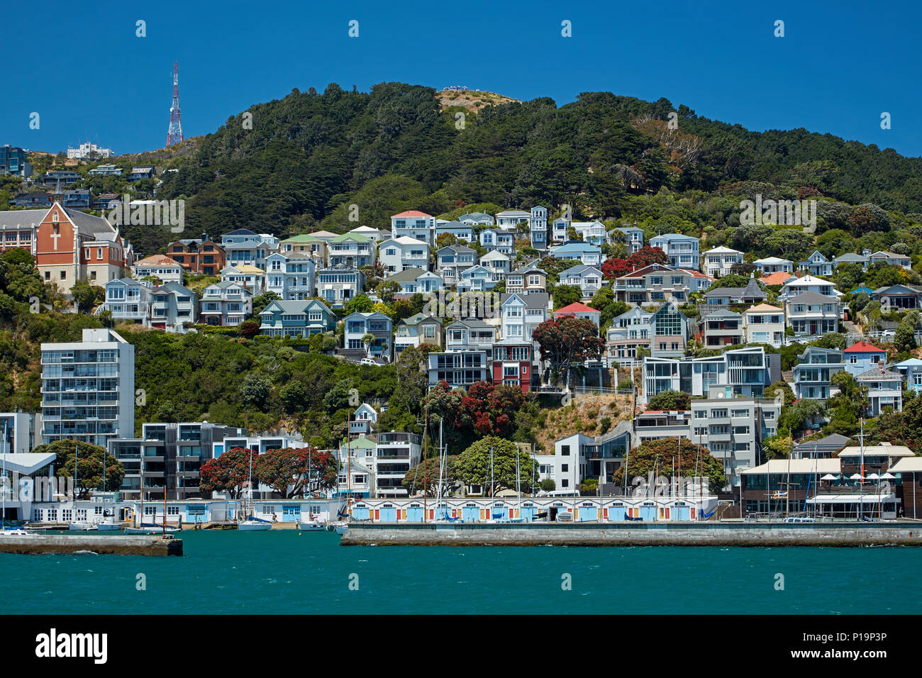 Boatsheds, Clyde Quay Marina, et villas historiques, Oriental Bay, Wellington, Île du Nord, Nouvelle-Zélande Banque D'Images