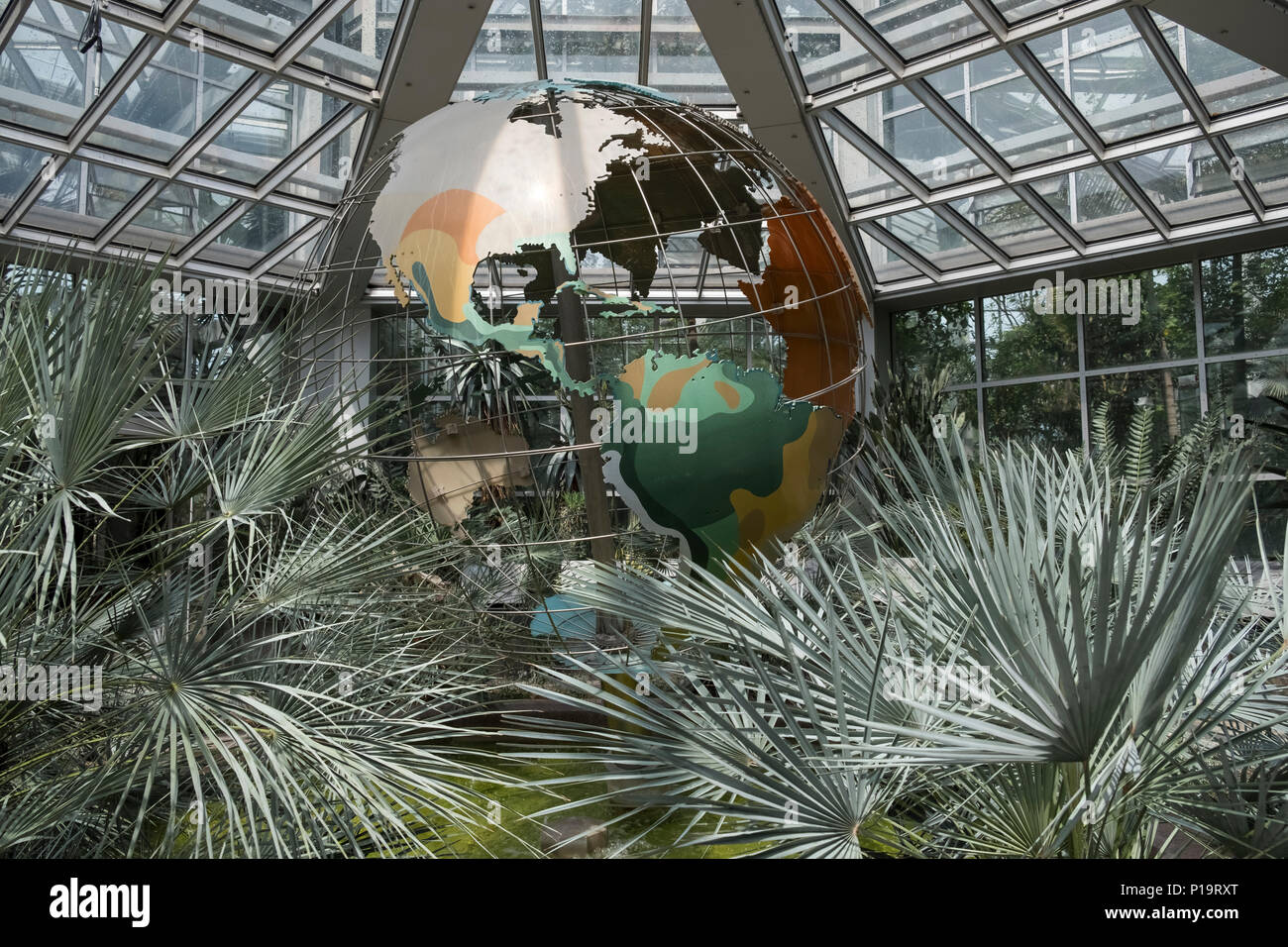 Tropicarium Palmengarten, bâtiment serre un jardin botanique dans le quartier ouest sud district de Frankfurt am Main, Hesse, Allemagne. Banque D'Images