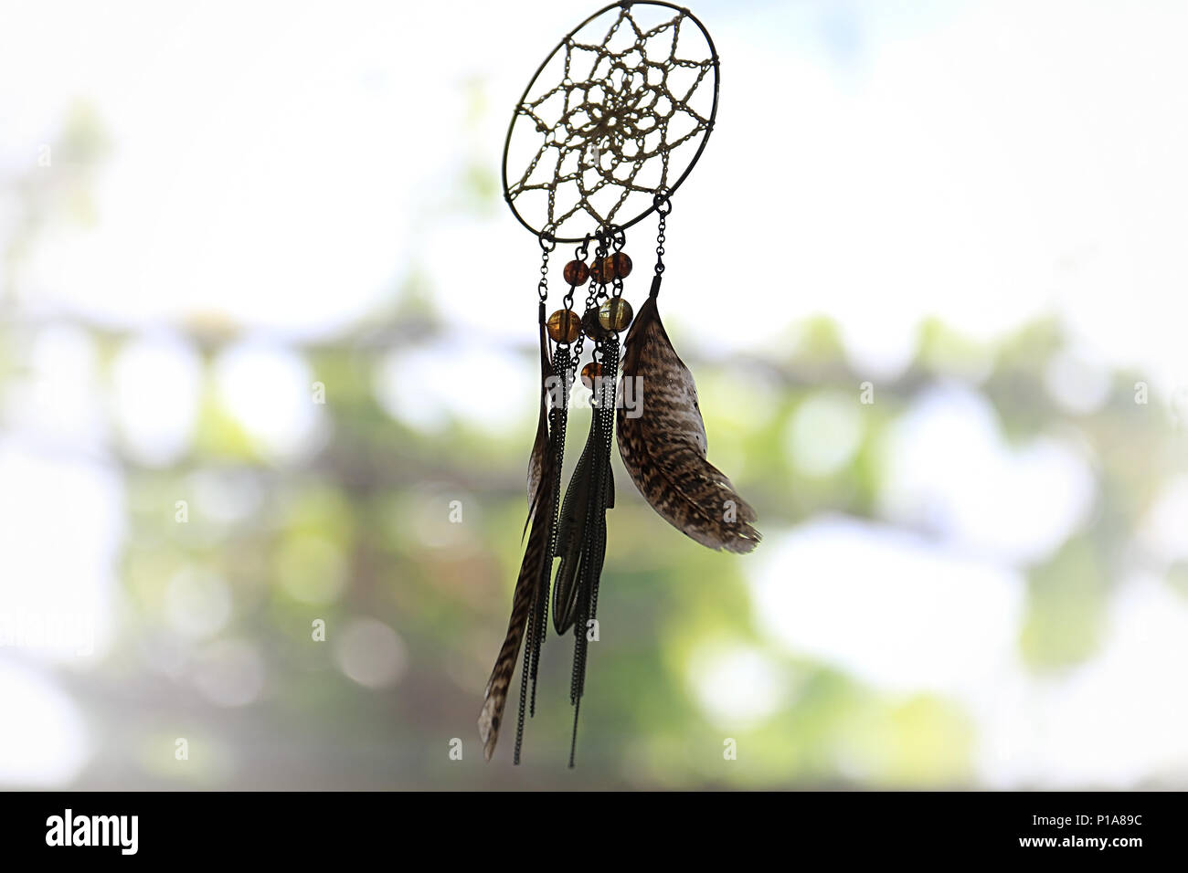 Un Dream Catcher contre un arrière-plan flou de feuilles. Banque D'Images