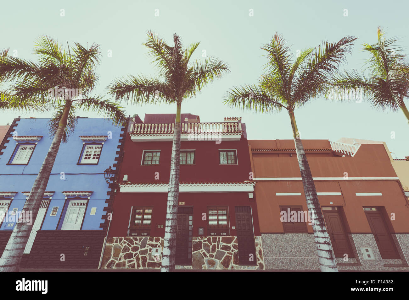 Façades de maisons colorées et de palmiers sur la rue typique des Canaries, Puerto de La Cruz, Tenerife, Espagne. Banque D'Images