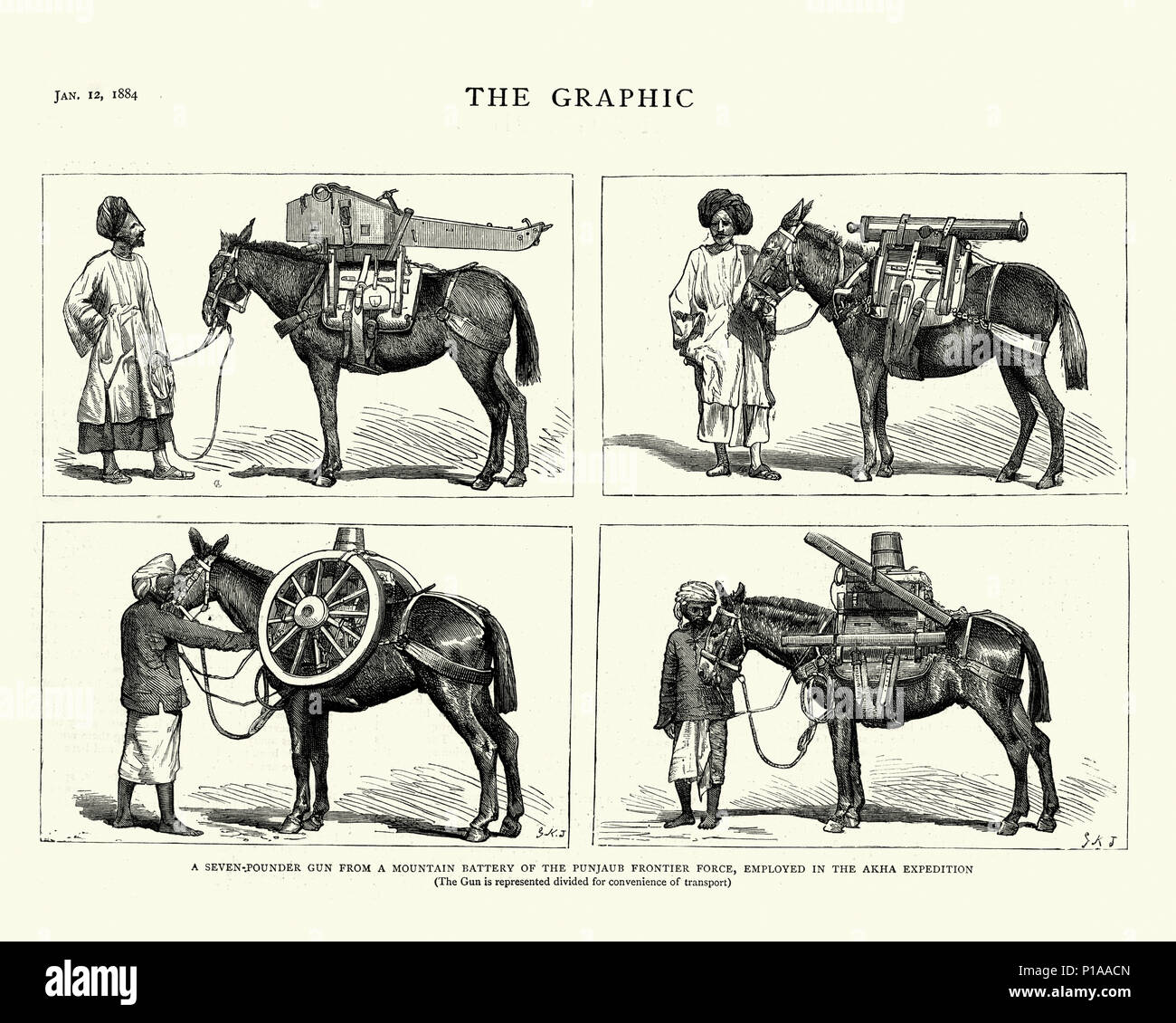 Sept de canon batterie de montagne du Punjaub force frontière chargé sur les mules au cours de l'expédition de 1883-1884 à l'Akha Banque D'Images