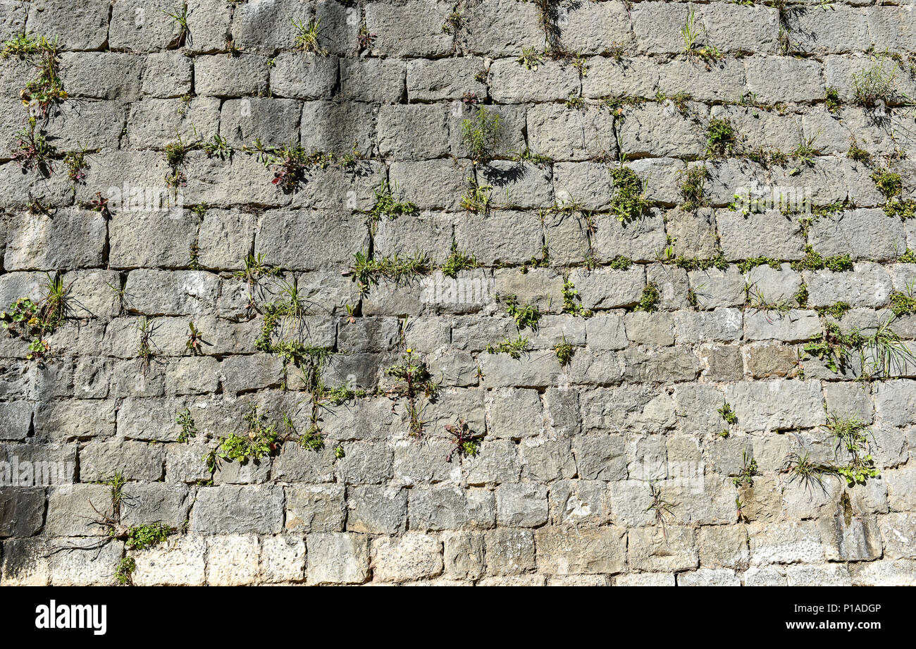 Vieux château de pierre mur de brique en pierre dalles. Mur fortifié médiéval ancienne clôture avec l'herbe verte et de mousse texture pattern. Banque D'Images