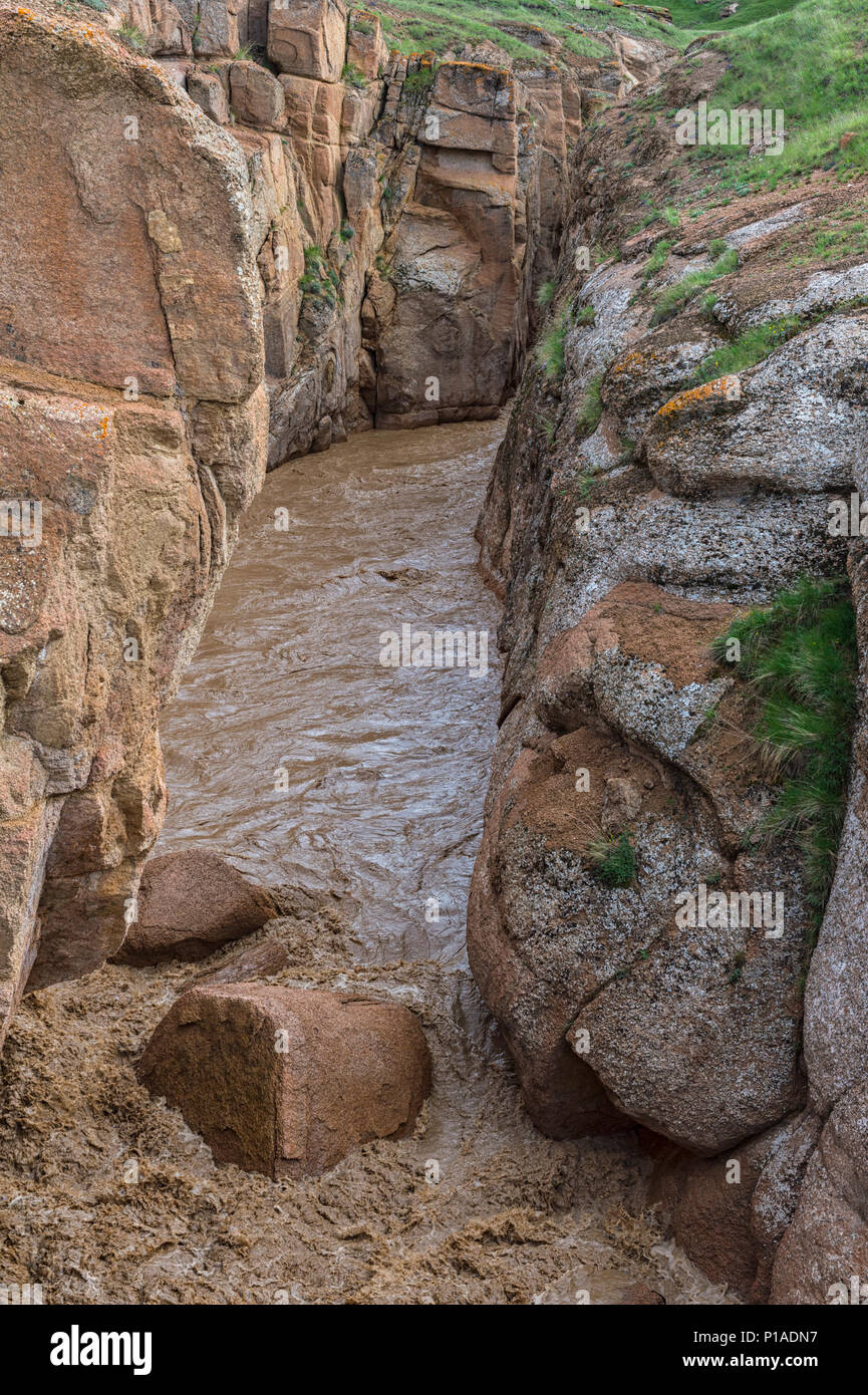 Rivière de montagne boueuse en passant par un canyon étroit, province de Naryn, Kirghizistan Banque D'Images