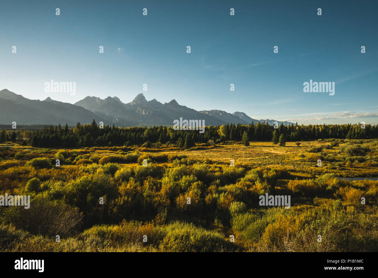 Le Grand Teton mountain range. Banque D'Images
