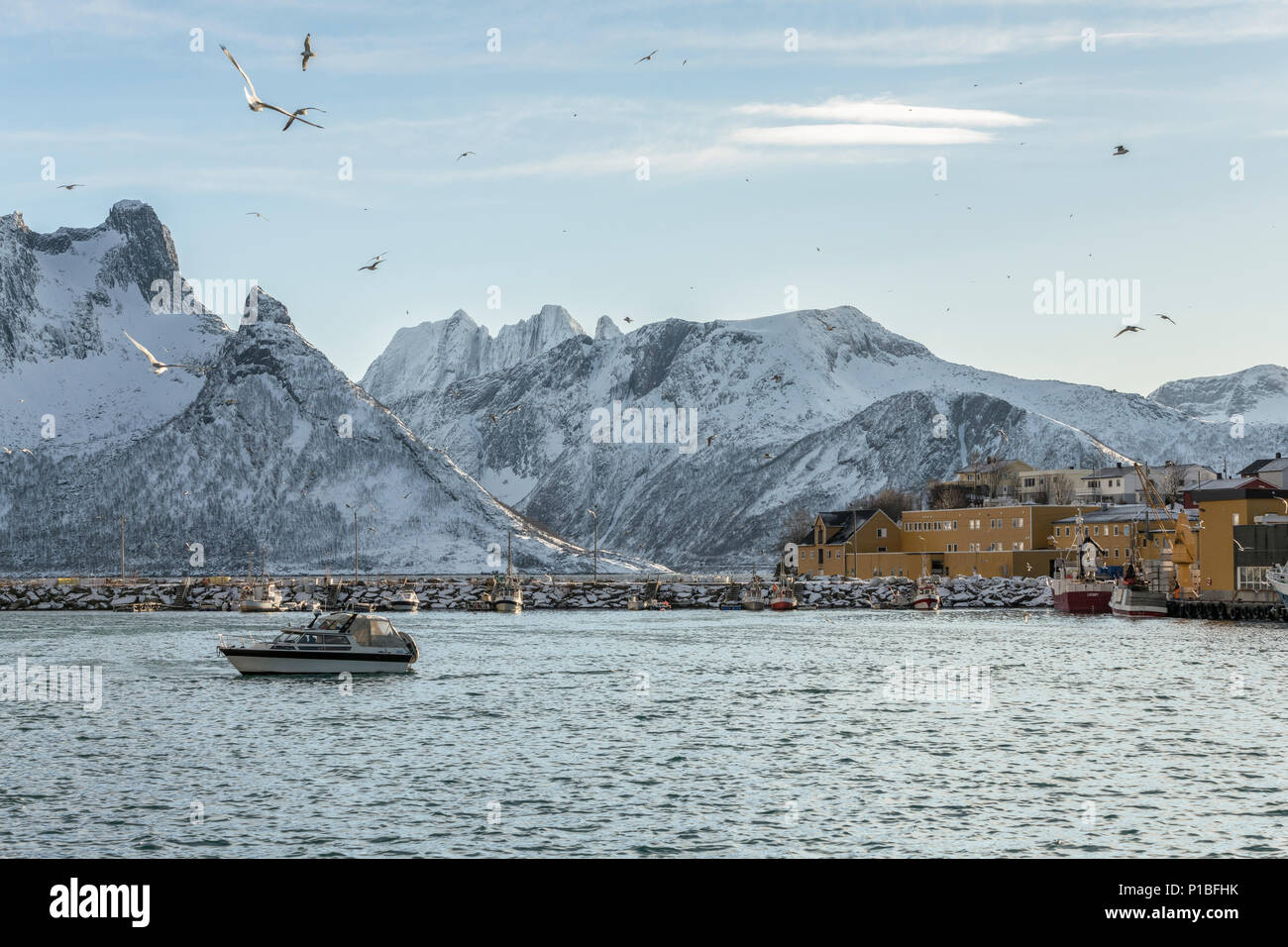 Oyfjord avec village de pêcheurs Husøy, Senja, Norvège Banque D'Images