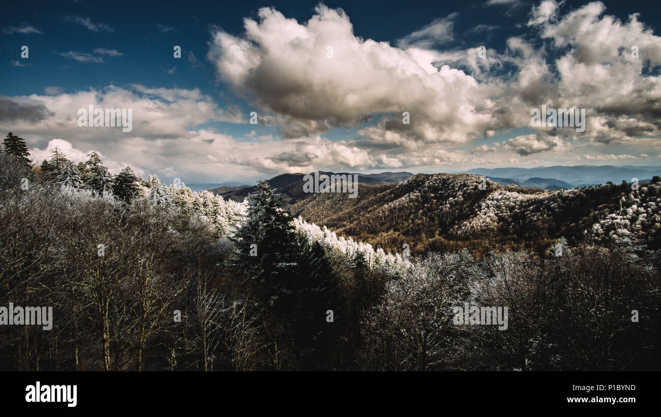 Vue de Newfound Gap sur la frontière entre le Tennessee et la Caroline du Nord dans la région de Great Smoky Mountains National Park. Banque D'Images