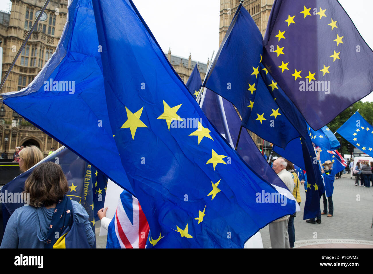 Londres, Royaume-Uni. 12 Juin, 2018. Manifestation pro-UE d'en face le Parlement le jour d'un vote de la Chambre des communes sur les amendements proposés par la Chambre des Lords à l'UE. Loi Retrait Credit : Mark Kerrison/Alamy Live News Banque D'Images