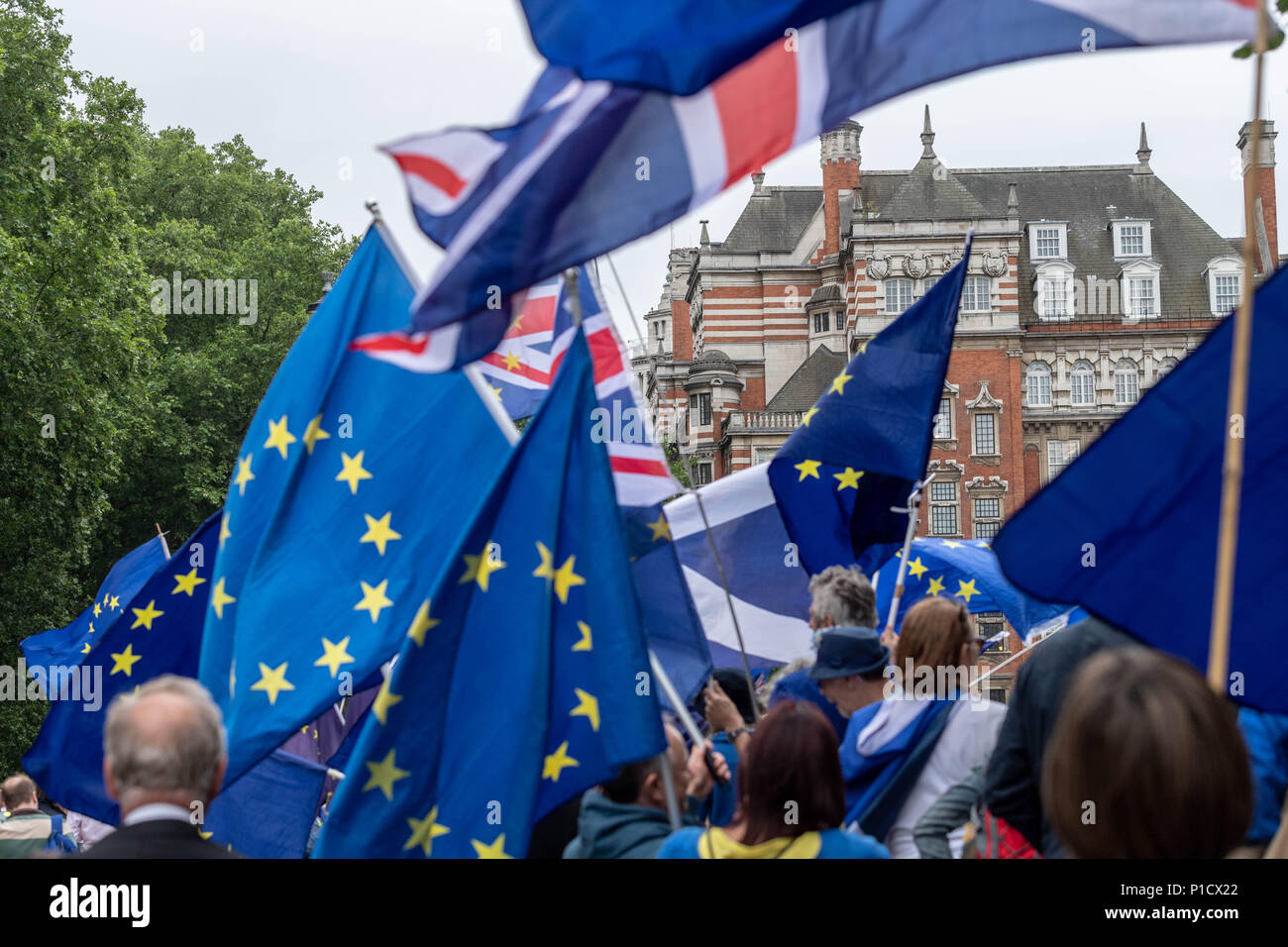 Londres 12 juin 2018 Brexit, manifestation devant la Chambre des communes de crédit Londres Ian Davidson/Alamy Live News Banque D'Images