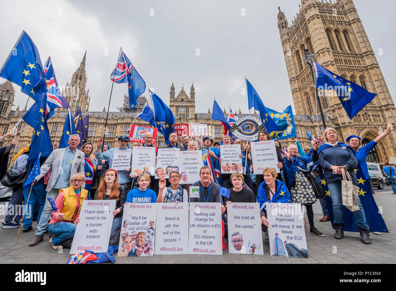 Londres, Royaume-Uni. 12 juin 2018. Comme le débat de la Chambre des communes sur l'Brexit approches traiter, les membres de SODEM et autres Brexit, pro-UE des groupes se rassemblent à l'extérieur du Parlement pour une protestation se trouve pas de tartes. Crédit : Guy Bell/Alamy Live News Banque D'Images