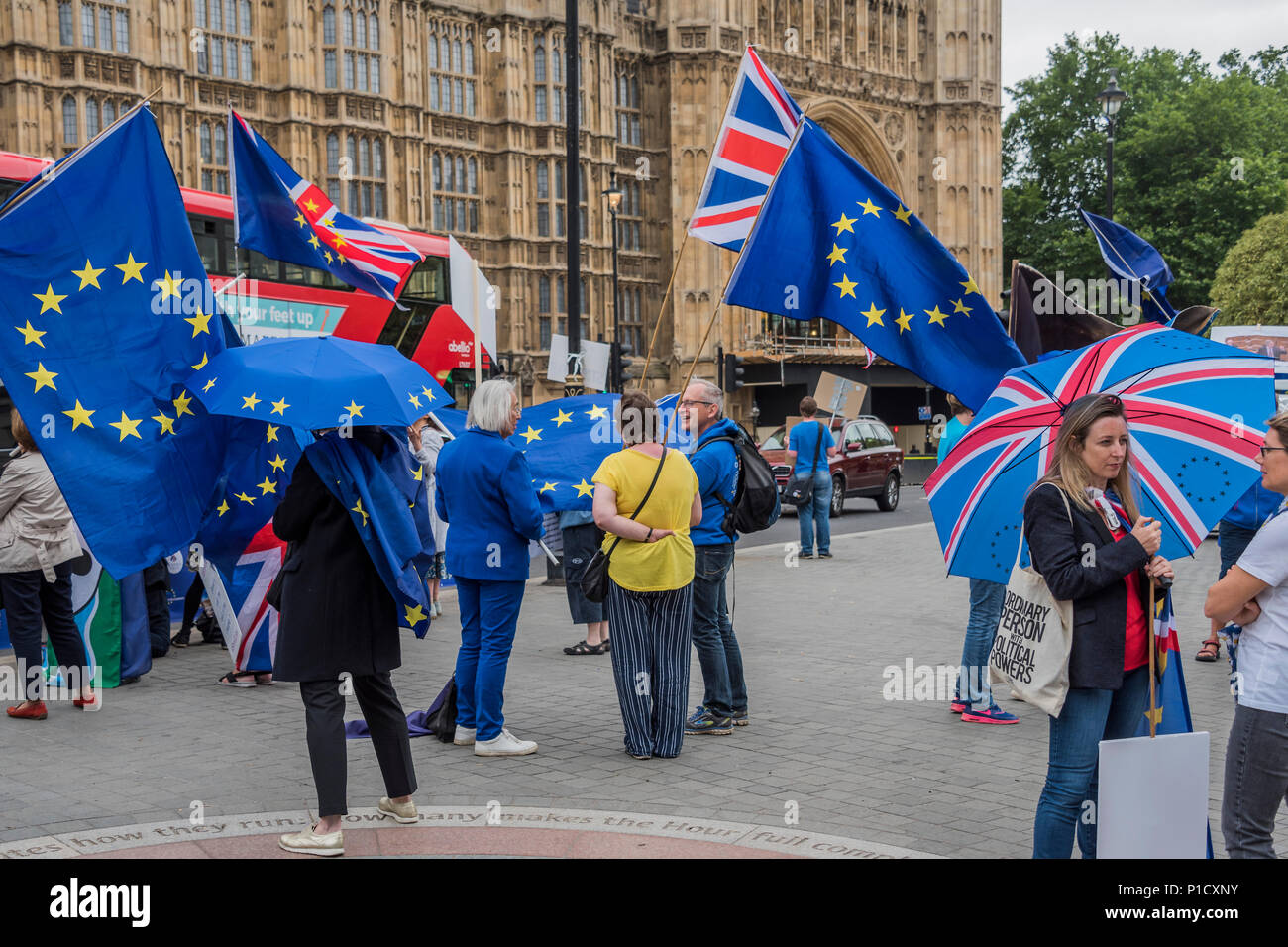 Londres, Royaume-Uni. 12 juin 2018. Comme le débat de la Chambre des communes sur l'Brexit approches traiter, les membres de SODEM et autres Brexit, pro-UE des groupes se rassemblent à l'extérieur du Parlement pour une protestation se trouve pas de tartes. Crédit : Guy Bell/Alamy Live News Banque D'Images
