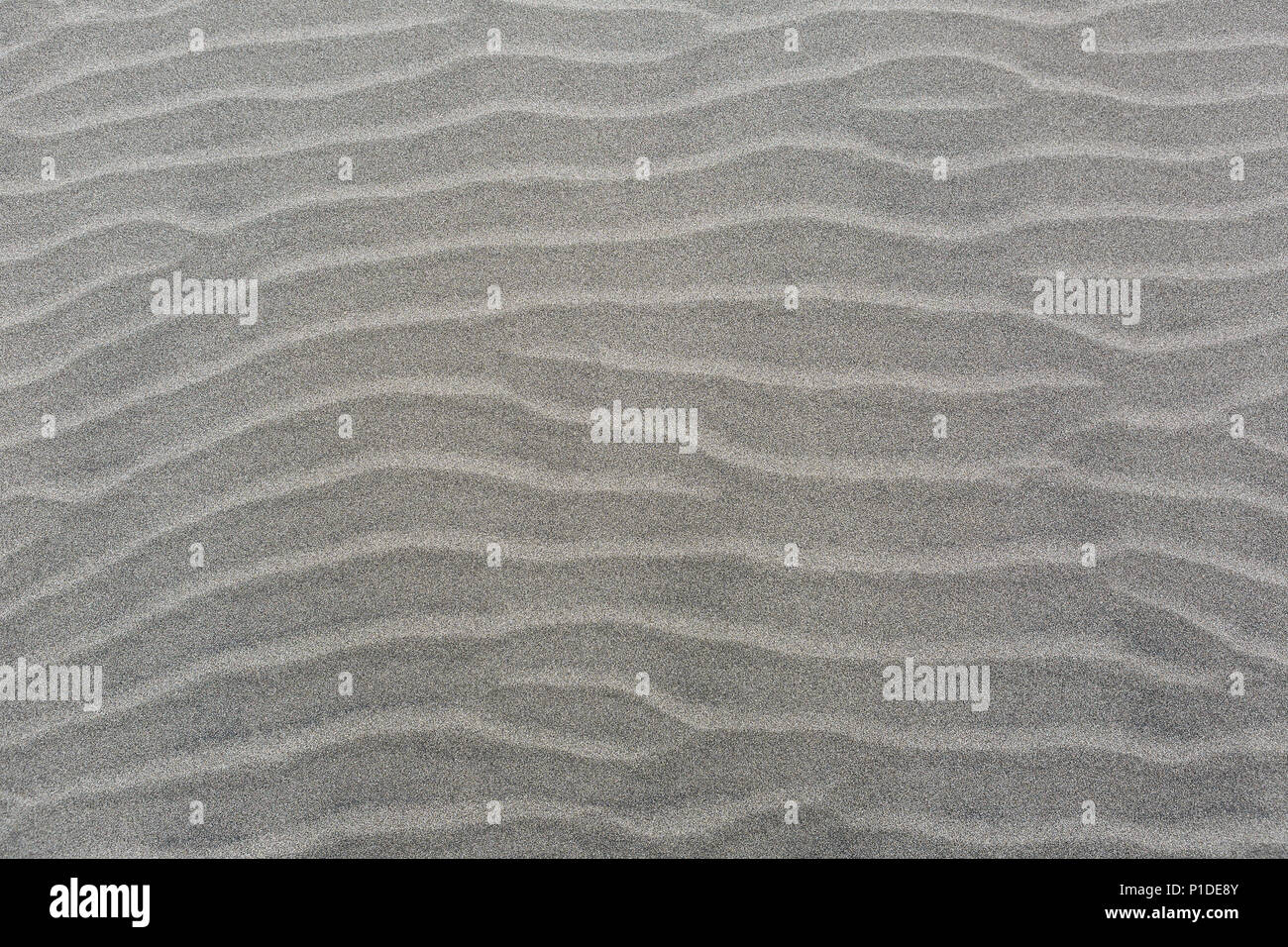 Dunes de sable balayées par le motif de lignes ondulées sur fond de plage de sable Banque D'Images