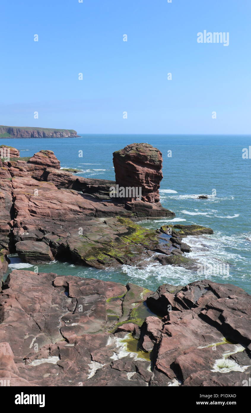 Deil's Heid pile mer Angus Scotland Juin 2018 Banque D'Images