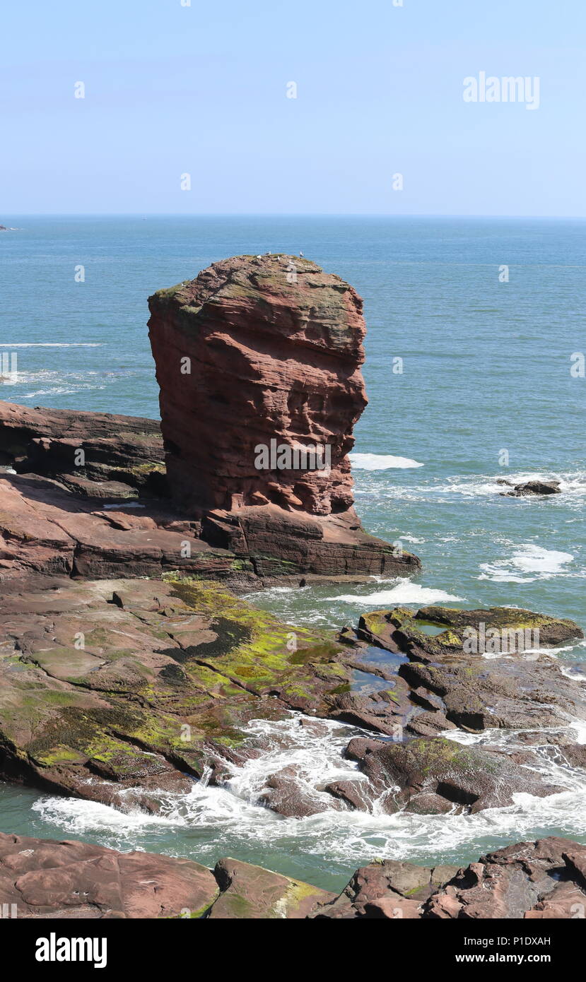 Deil's Heid pile mer Angus Scotland Juin 2018 Banque D'Images
