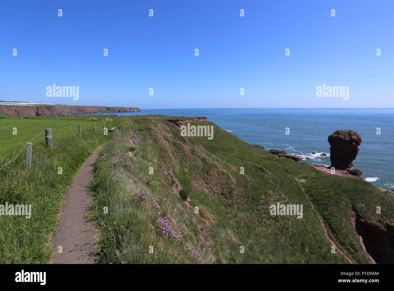 Deil's Heid pile mer Angus Scotland Juin 2018 Banque D'Images