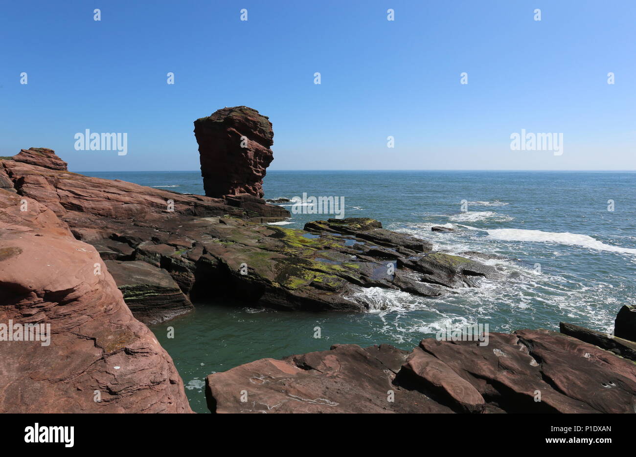 Deil's Heid pile mer Angus Scotland Juin 2018 Banque D'Images