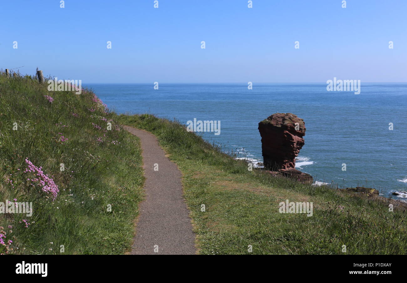 Deil's Heid pile mer Angus Scotland Juin 2018 Banque D'Images