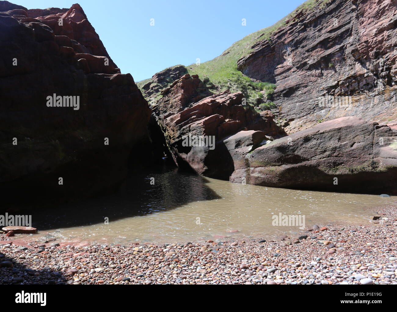 Petite plage entourée de falaises avec cliff Seaton Angus Scotland Juin 2018 Banque D'Images