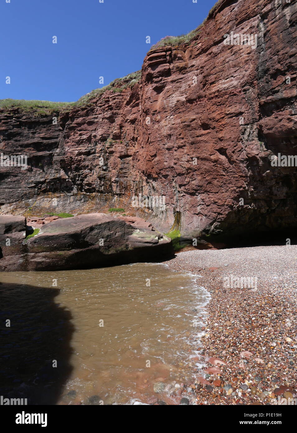Petite plage entourée de falaises avec cliff Seaton Angus Scotland Juin 2018 Banque D'Images