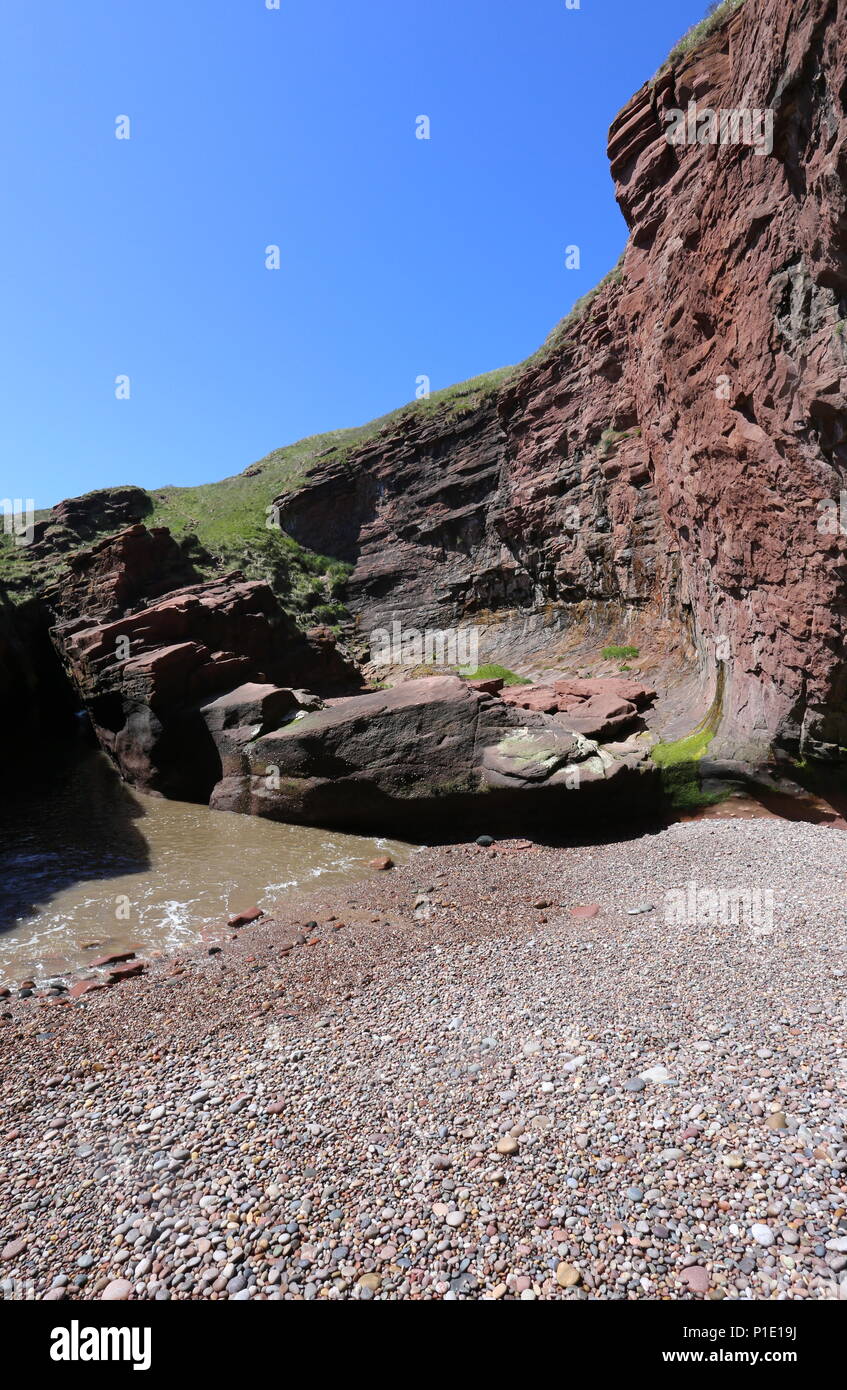 Petite plage entourée de falaises avec cliff Seaton Angus Scotland Juin 2018 Banque D'Images