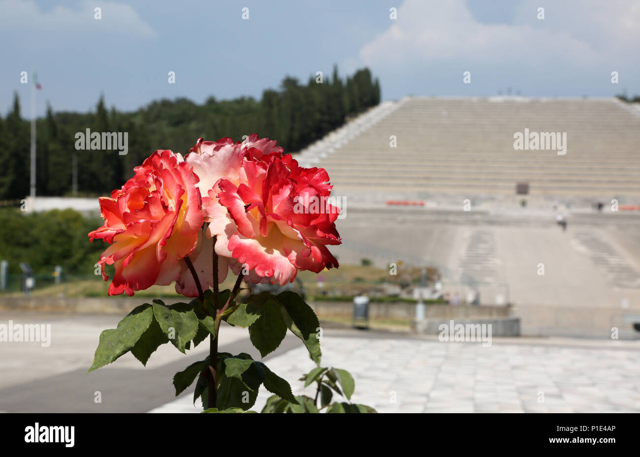 Redipuglia, rendez-vous, de l'Italie - le 3 juin 2017 : Roses rouges et l'Redipuglia War Memorial est un ossuaire militaire de la Première Guerre mondiale, également appelé Sacrario di Redipuglia j Banque D'Images
