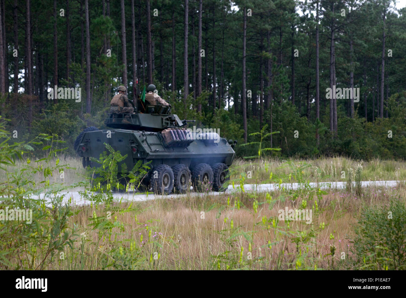 Les Marines américains avec 3e Bataillon de reconnaissance blindé léger (3d LAR Ne), l'avance de leur prochaine cible point durant le tout premier défi Bushmaster gamme SR-7 à bord à Camp Lejeune, en Caroline du Nord, le 4 octobre 2016. Le concours était composé de quatre véhicules blindés légers VBL-25, ou des cibles de tir, avec un M242 Bushmaster, qui est un 25 mm entraînés par chaîne autocanon largement utilisé par l'armée américaine et la mitrailleuse coaxiale M240. (U.S. Marine Corps photo par Lance Cpl. Careaf L. Henson MARDIV 2d) de la Caméra de combat Banque D'Images