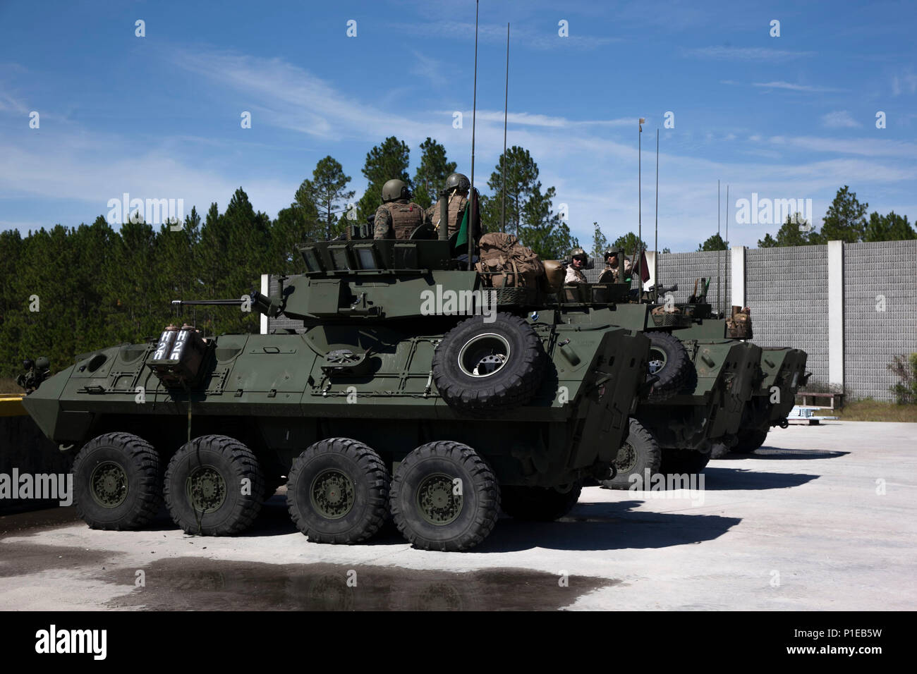 Les Marines américains avec divers bataillons de reconnaissance blindé léger (LAR Ne), effectuer le tout premier défi Bushmaster gamme SR-7 à bord à Camp Lejeune, en Caroline du Nord, le 3 octobre 2016. Le concours était composé de quatre véhicules blindés légers VBL-25, ou des cibles de tir, avec un M242 Bushmaster, qui est un 25 mm entraînés par chaîne autocanon largement utilisé par l'armée américaine et la mitrailleuse coaxiale M240. (U.S. Marine Corps photo par Lance Cpl. Careaf L. Henson MARDIV 2d) de la Caméra de combat Banque D'Images