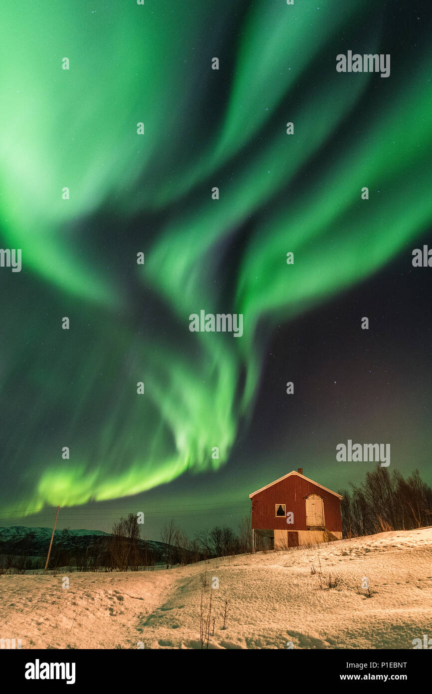 Northern Lights sur le Stønesbotn la nuit, Senja, Norvège Banque D'Images