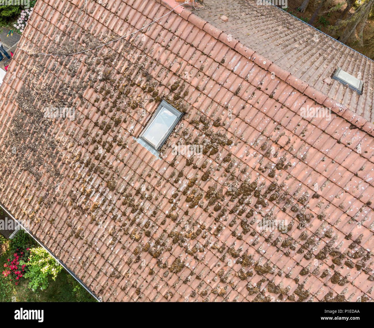 Survol de la toiture d'une maison unifamiliale à vérifier l'état de la  Toiture tuiles, vue aérienne faite avec drone Photo Stock - Alamy