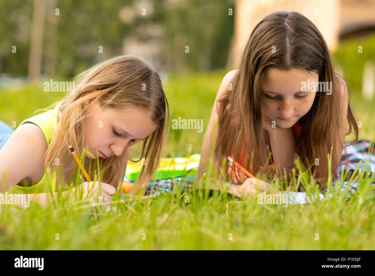 Deux jeunes filles sont des étudiants. Les jeunes adolescents. Les leçons n'écrire sur un ordinateur portable à l'été sur l'herbe. Le camping. Remplit les carnets de notes s'appuie. Effectuer des tâches pour l'école. Banque D'Images