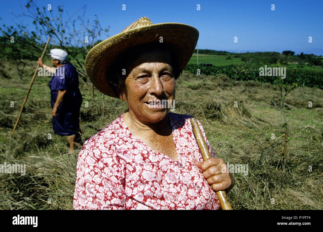 Campesinas en trabajo agrícola al'intérieur de Llanes (Costa Verde) (53). Banque D'Images