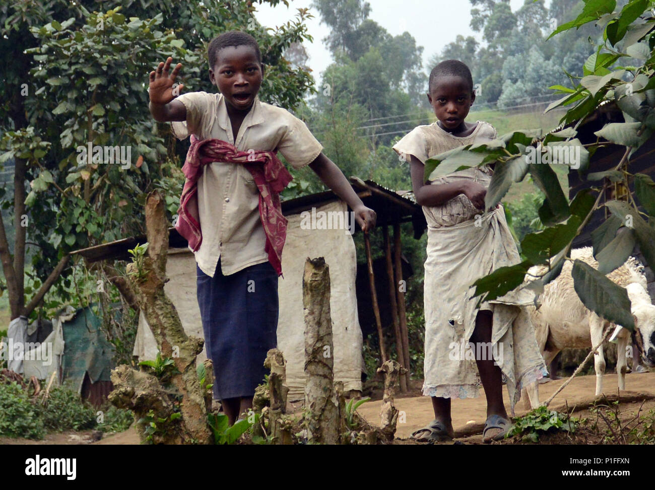 Enfants congolais jouant dans leur village. Banque D'Images